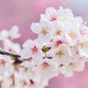 Meet your Posher, Dean